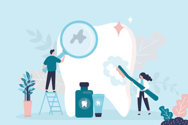Trusted Bushnell, IL Holistic Dental Care Services Experts